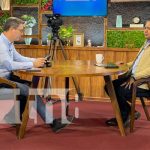 Hato bovino de Nicaragua mejora constantemente desde hace 7 años