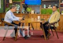 Ganadería de Nicaragua mantiene un crecimiento sólido y constante Hato bovino de Nicaragua mejora constantemente desde hace 7 años