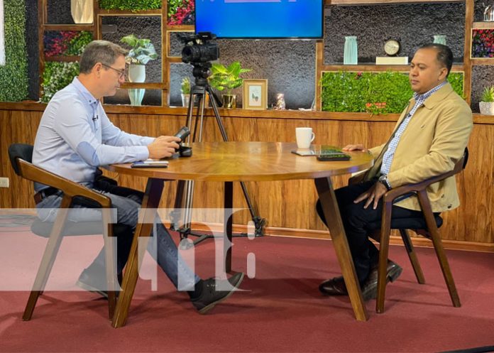 Hato bovino de Nicaragua mejora constantemente desde hace 7 años