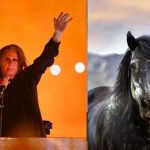 Ozzy Osbourne narra insólito hecho con un «equino que habla» Ozzy Osbourne narra insólito hecho con un "equino que hablaba"