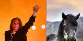 Ozzy Osbourne narra insólito hecho con un "equino que hablaba"