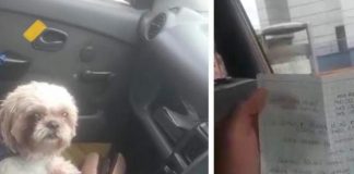 Abandonan a perrito dentro en un taxi en Colombia