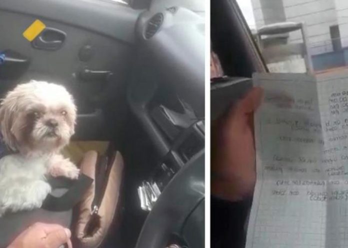 Abandonan a perrito dentro en un taxi en Colombia