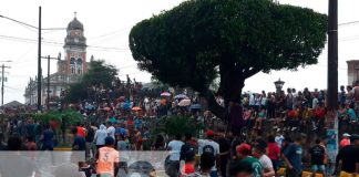 Todo un éxito el tope de toros en Granada