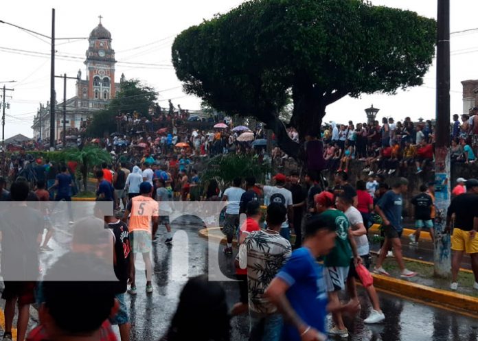 Todo un éxito el tope de toros en Granada