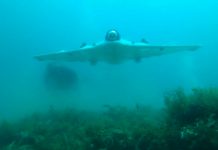 Equipan un Dron para la búsqueda de tesoros “escondidos” en el fondo marino Equipan un Dron para la búsqueda de tesoros “escondidos” en el fondo marino