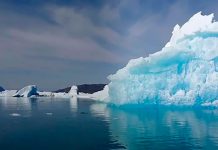 Antártida en peligro: Científicos alertan pérdida masiva de hielo en la zona