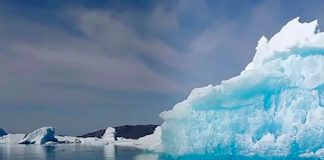 Antártida en peligro: Científicos alertan pérdida masiva de hielo en la zona