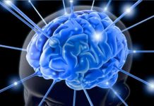 Estos son algunos alimentos que darán agilidad a tu cerebro
