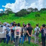 INTA imparte nueva técnica en producción de pasto en Boaco INTA imparte nueva técnica en producción de pasto en Boaco