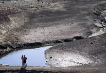 Reino Unido hierve bajo otra ola de calor y riesgo de sequía