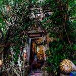 ¡Uno así en Nicaragua! Árbol sagrado regala los números de la lotería