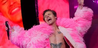 Lluvia de criticas por la comunidad LGTBQ a Harry Styles