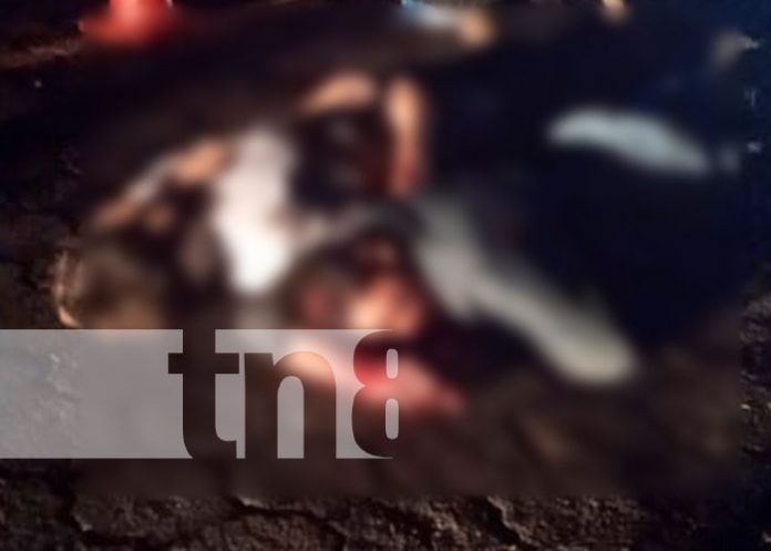 2 Los golpes fueron de gravedad, ya que no portaban el casco de seguridad y los dos cayeron al adoquinado; donde el impacto fue mayormente en la cabeza.