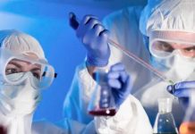 Aprueban un fármaco que podría «desarmar» a las células de cáncer Aprueban un fármaco que podría "desarmar" a las células de cáncer