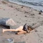 ¿Cadáver o muñeca sexual? Policía realiza un insólito hallazgo