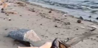 ¿Cadáver o muñeca sexual? Policía realiza un insólito hallazgo