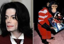 ¿Locura? El chimpancé de Michael Jackson intentó suicidarse