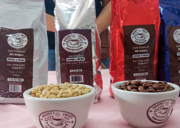MEFCCA realiza el Primer Foro Regional “Café, Grano Precioso”