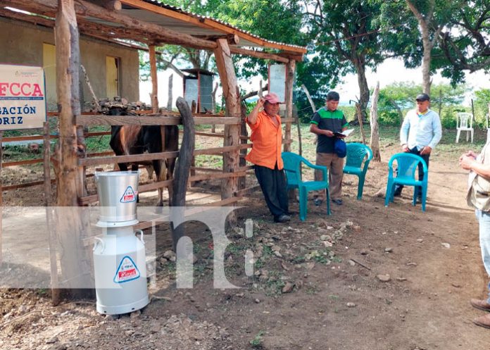 3 Capitalizan a pequeños productores ganaderos de San Lucas, Madriz
