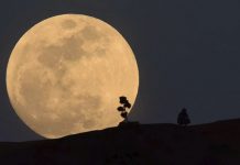 Superluna y Perseidas, dos espectáculos en una misma noche Superluna y Perseidas, dos espectáculos en una misma noche