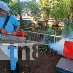 MINSA continua la fumigación y abatización en barrios de Managua