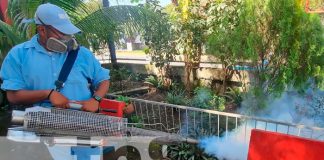 MINSA continua la fumigación y abatización en barrios de Managua