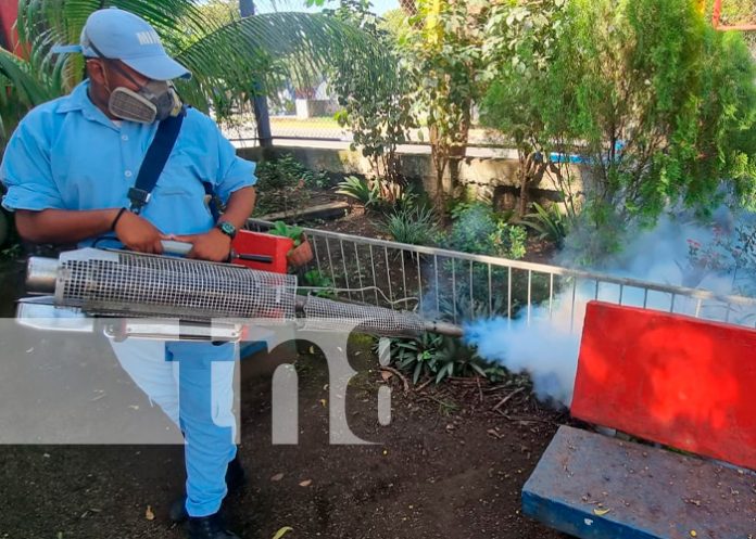 MINSA continua la fumigación y abatización en barrios de Managua