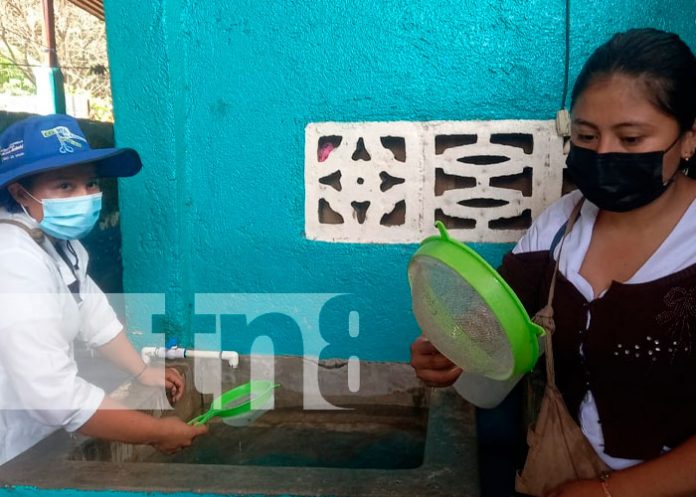Masaya en la lucha contra el Dengue
