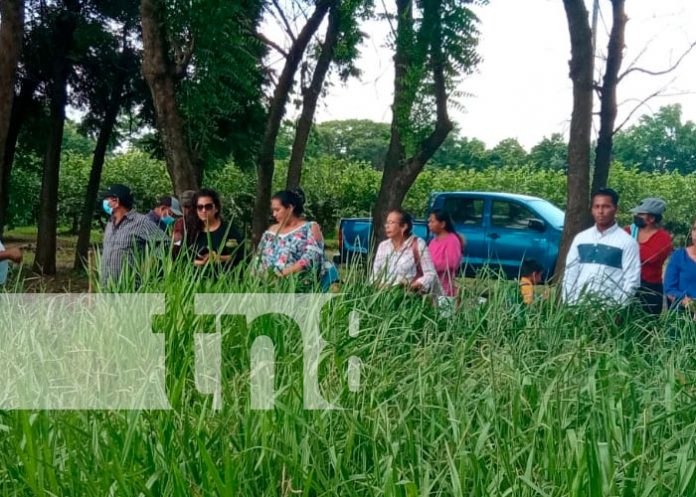 INTA inaugura Banco Nacional de Germosplasma de Pasto en Managua