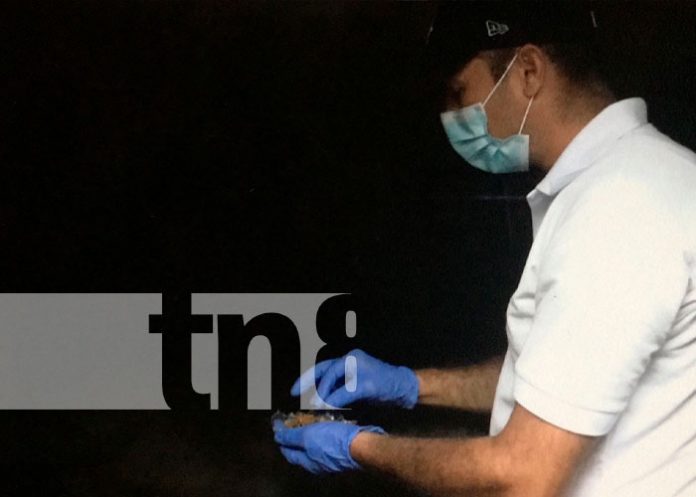 Jalapa libre de ratas gracias al MINSA