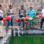 MEFCCA proyecta al menos 10 criaderos de tilapia en Nandaime MEFCCA proyecta al menos 10 criaderos de tilapia en Nandaime