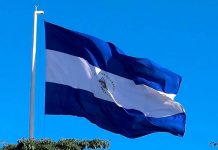 ¿Qué es realmente la democracia? (Por: Moisés Absalón Pastora) ¿Qué es realmente la democracia? (Por: Moisés Absalón Pastora)