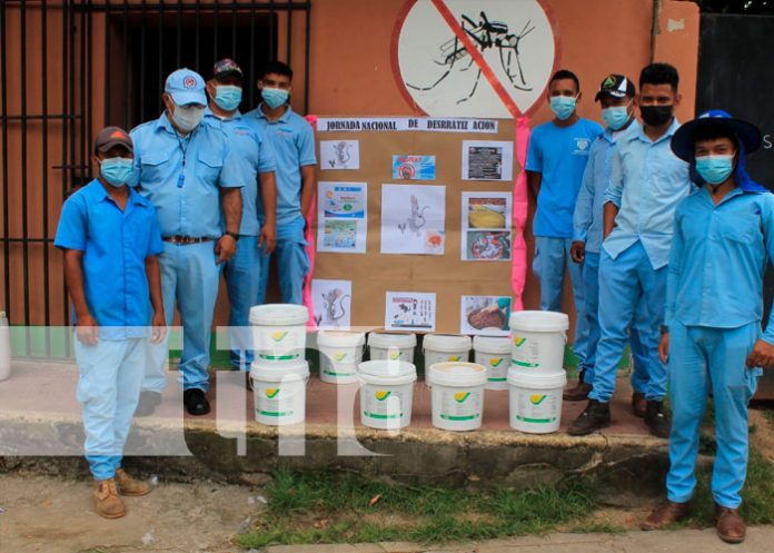 MINSA inicia II Jornada de Desratización en Ocotal