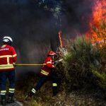 Bombero muere tratando de extinguir incendio en Portugal Bombero muere tratando de extinguir incendio en Portugal