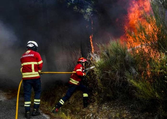 Bombero muere tratando de extinguir incendio en Portugal