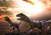 Descubren segundo asteroide de impacto similar al que mató a dinosaurios Segundo asteroide de impacto al otro lado del Atlántico