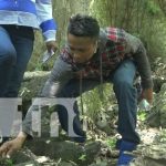 Liberan especies juveniles en peligro de extinción en la Isla de Ometepe Liberan especies juveniles en peligro de extinción en la Isla de Ometepe