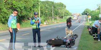 Vigilante fallece en aparatoso accidente de tránsito en Ctra. Vieja a León