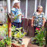 Premian a los jardines más bonitos y coloridos de Managua Premian a los jardines más bonitos de Managua