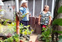 Premian a los jardines más bonitos de Managua