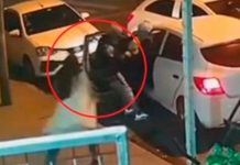 Tremenda «sopa de muñeca» recibieron unos ladrones en Argentina (Video) Tremenda "sopa de muñeca" recibieron unos ladrones en Argentina (Video)