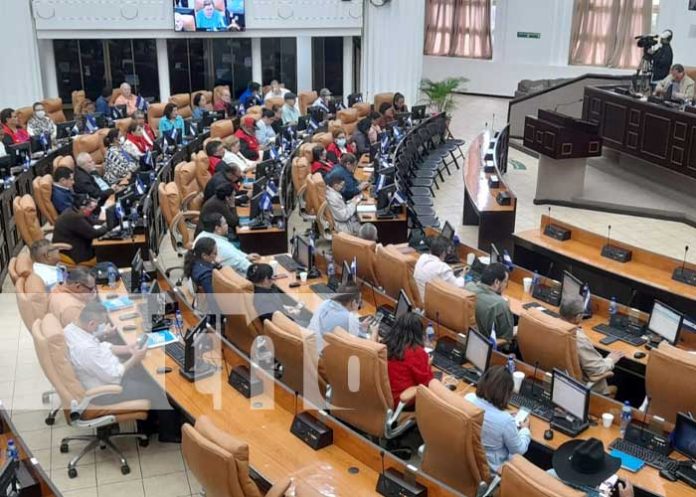 Sesión especial en la Asamblea Nacional por el Día de las Personas con Discapacidad
