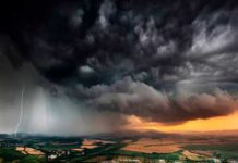 Predicen que humanidad se extinguirá tras una catástrofe sin precedentes Predicen que la humanidad se extinguirá tras una catástrofe sin precedentes