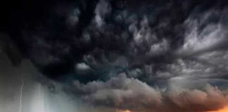 Predicen que la humanidad se extinguirá tras una catástrofe sin precedentes