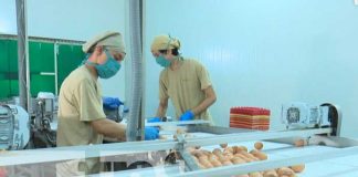 Reportaje especial sobre la empresa El Granjero, en Nicaragua