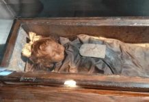 Historia de Rosalía Lombardo comenzó en Italia en 1918
