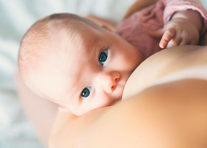 bebe Dentro del estudio se identificaron más de 245 moléculas