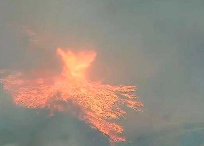 ¡Como sacado del infierno! Se forma enorme “tornado de fuego