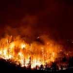 Hallan a dos personas calcinadas tras catastróficos incendios en California Hallan a dos personas calcinadas tras catastróficos incendios en California